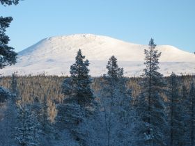 IMG_0204.JPG