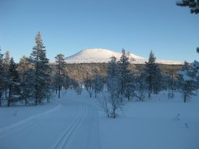 IMG_0210.JPG