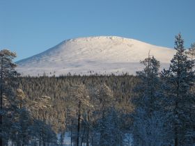 IMG_0211.JPG
