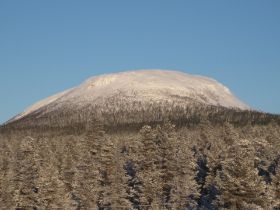 IMG_0215.JPG