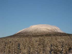 IMG_0221.JPG