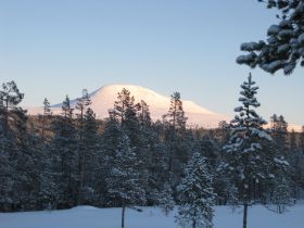 IMG_0229.JPG
