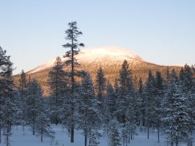 IMG_0230.JPG